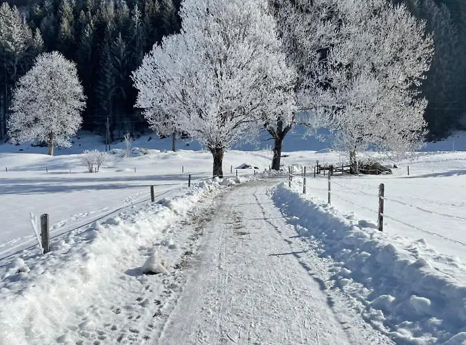 Appartement Marlene Maishofen